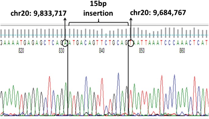 Figure 2.