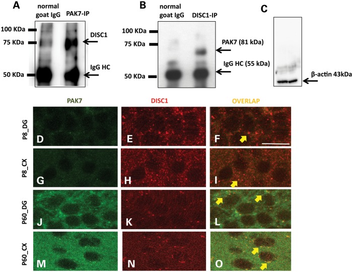 Figure 4.