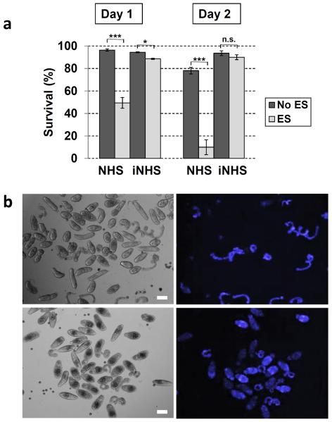 Fig. 9