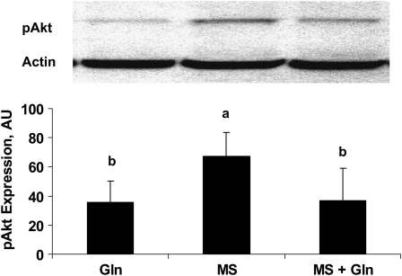 FIGURE 4 