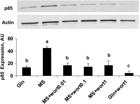 FIGURE 3 