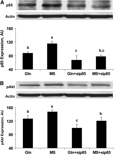 FIGURE 5 