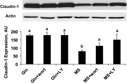 FIGURE 2 