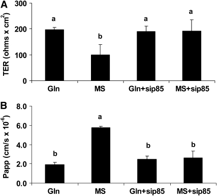 FIGURE 6 