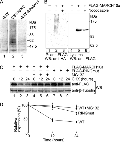 FIGURE 9.