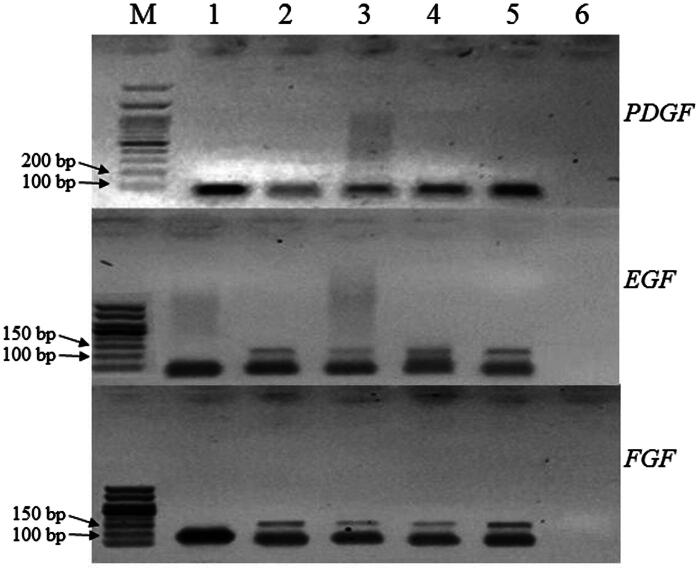 Figure 5.