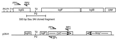 FIG. 1