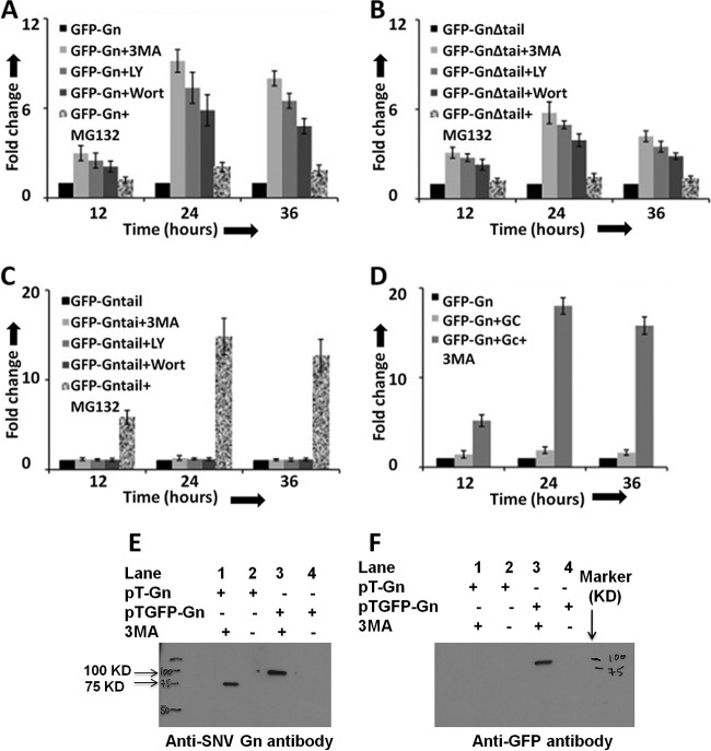 Fig 4