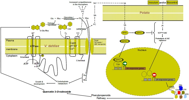 Figure 9