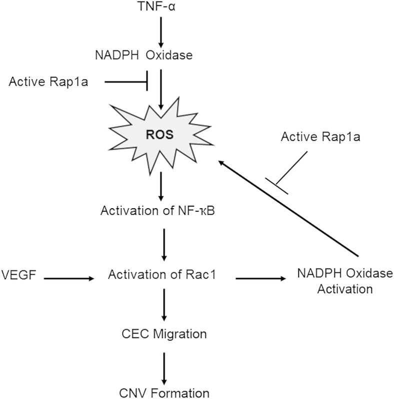 Figure 7