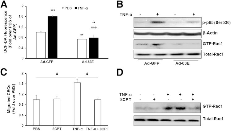 Figure 5