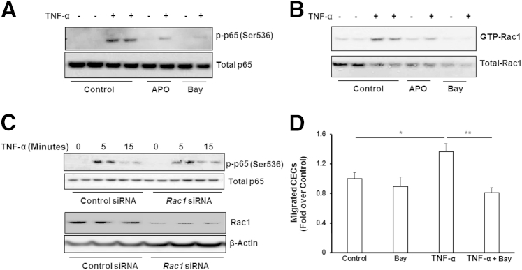 Figure 4