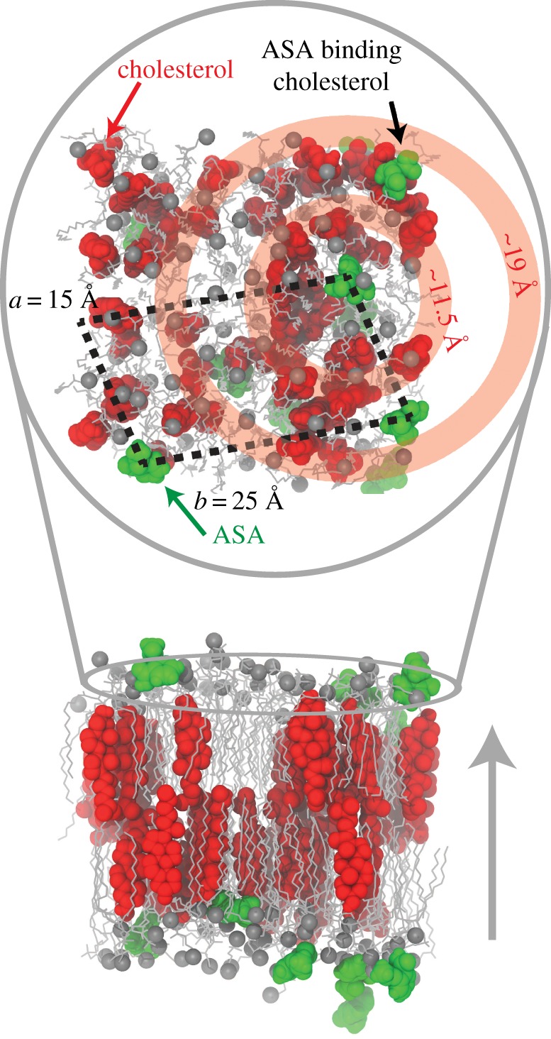 Figure 6.