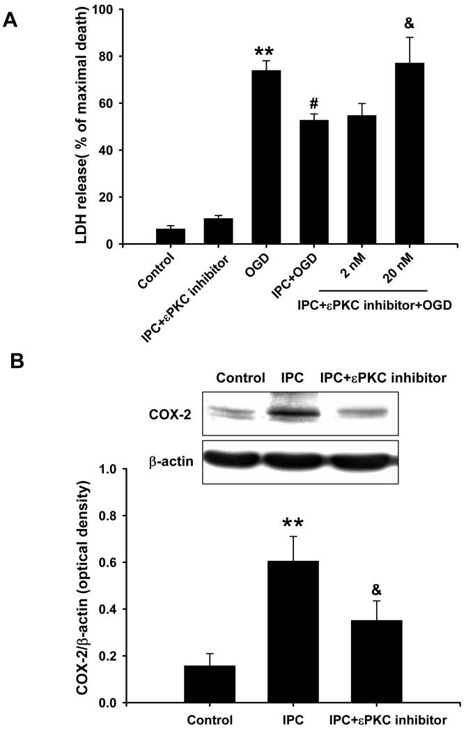 Fig.6