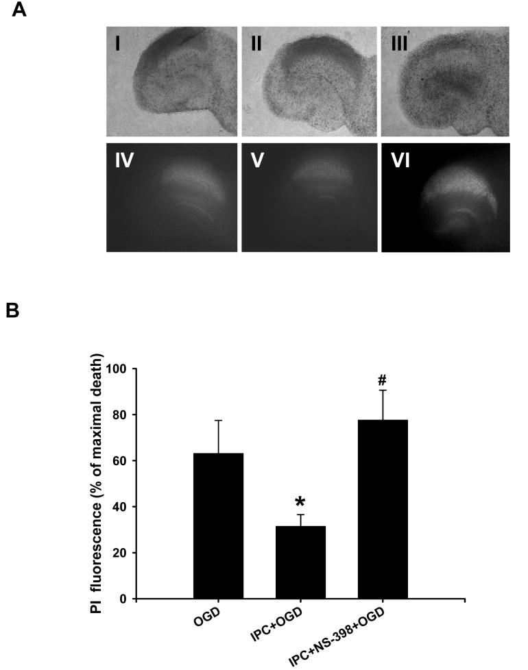 Fig.4