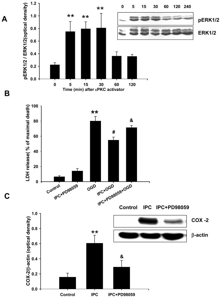 Fig.7