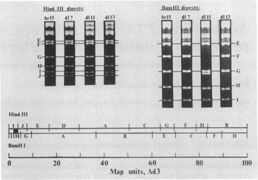 graphic file with name pnas00338-0021-a.jpg