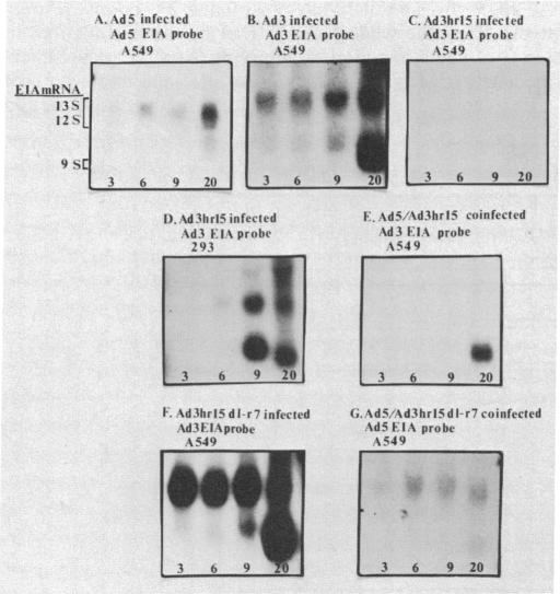 graphic file with name pnas00338-0022-a.jpg