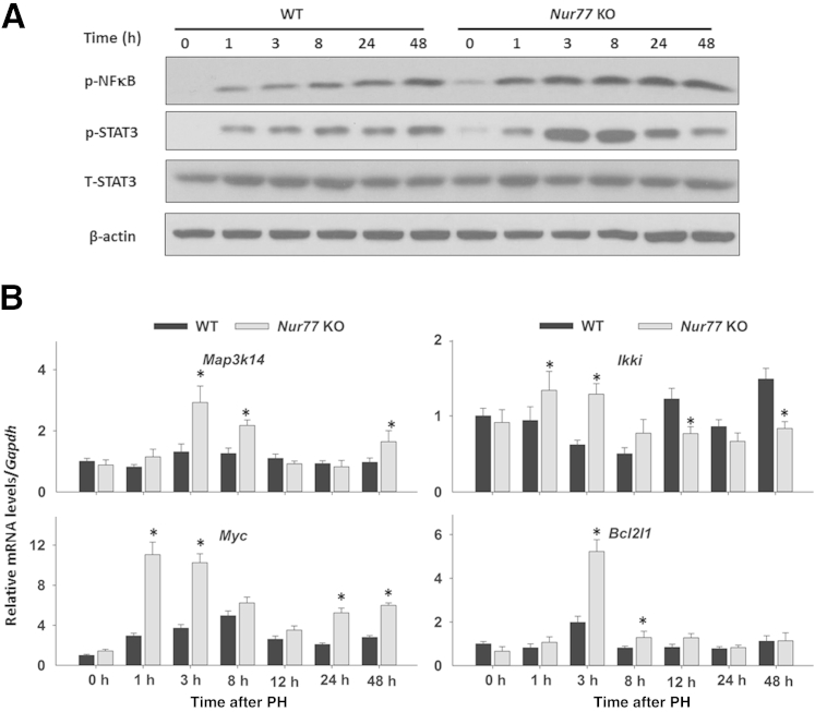 Figure 6