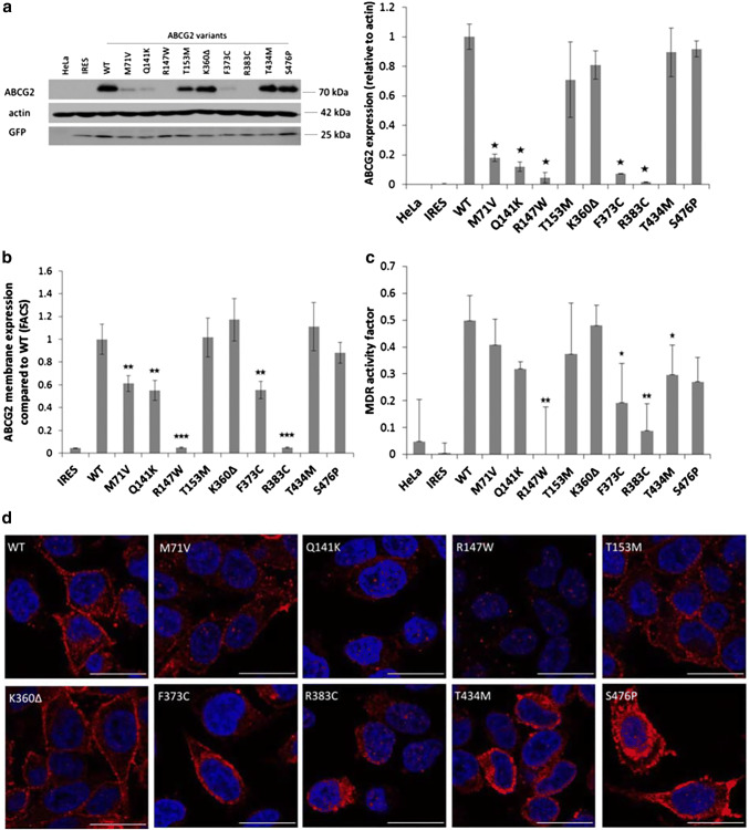 Fig. 3