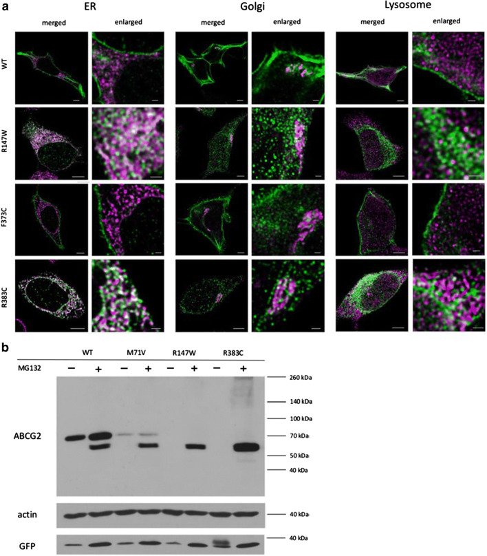 Fig. 4