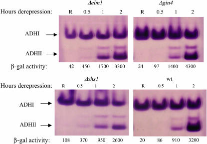 Figure 6.