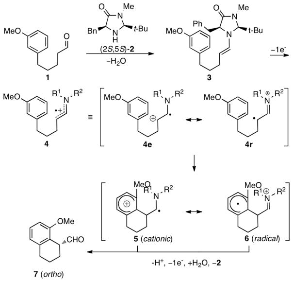 Scheme 1