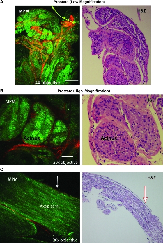 FIG. 6.