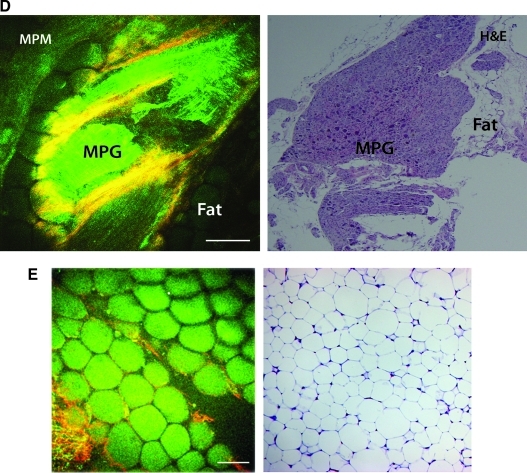 FIG. 6.