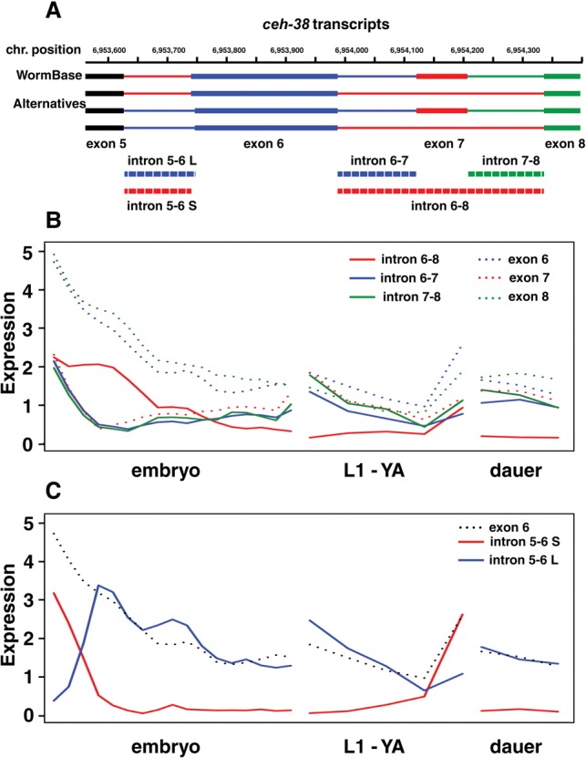 Figure 3.