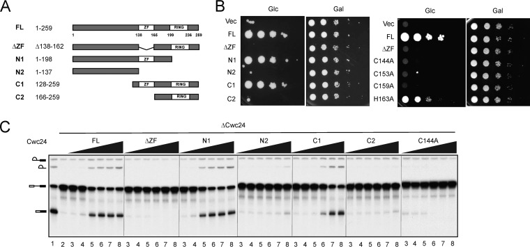 FIG 4