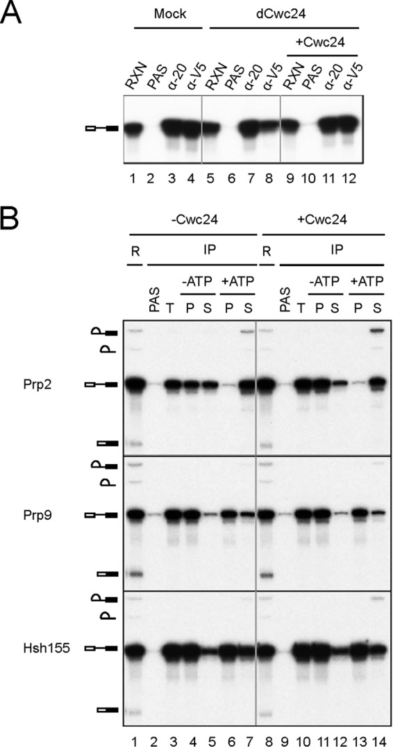 FIG 2