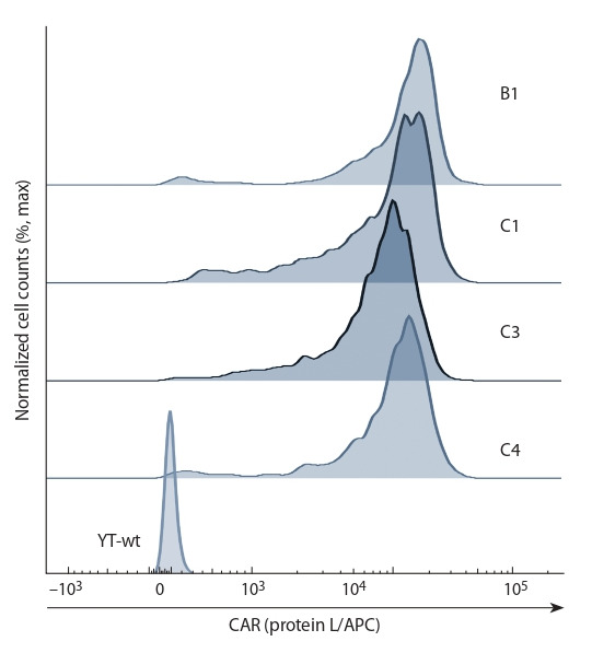 Fig. 2.