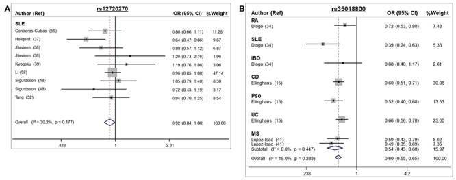 Figure 5 -