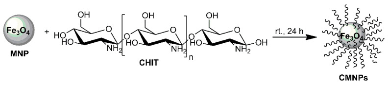 Scheme 1