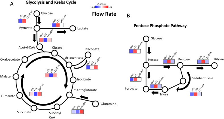 Figure 3