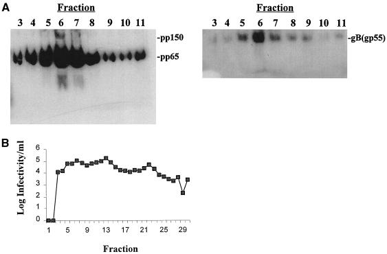 FIG. 8