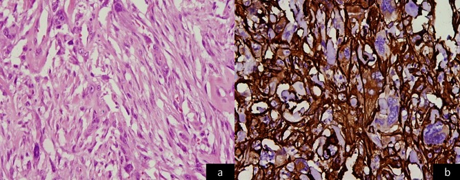 Figure 3