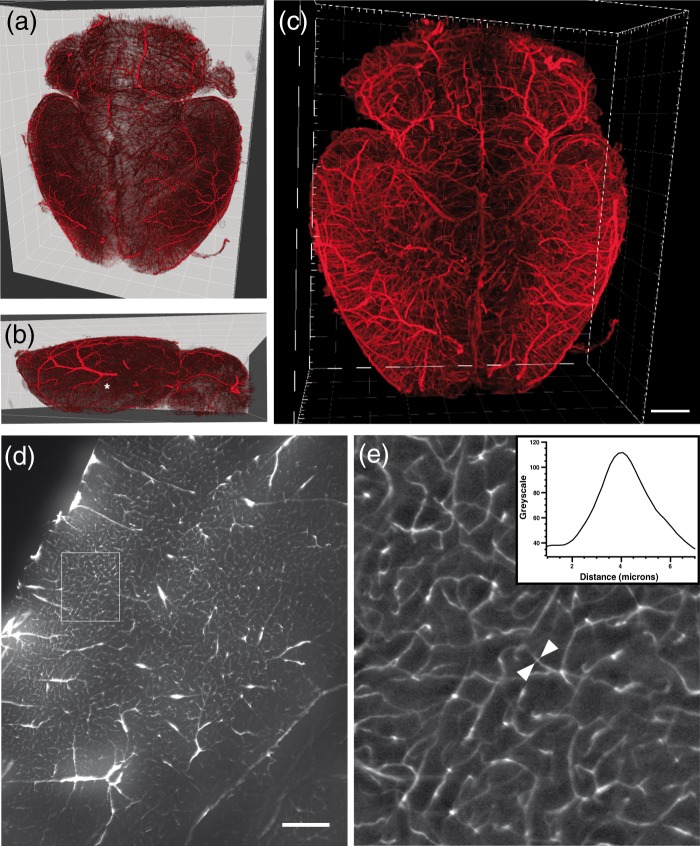 Figure 3.