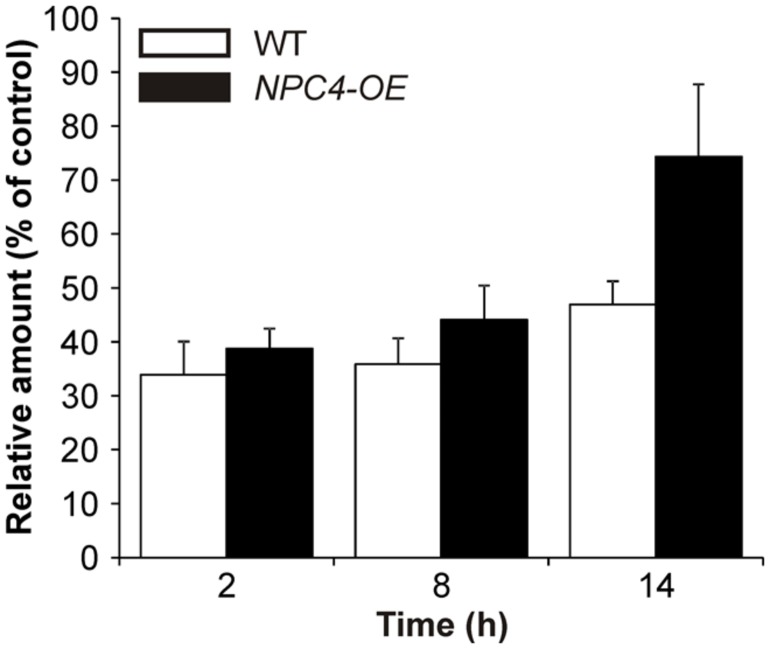 FIGURE 2