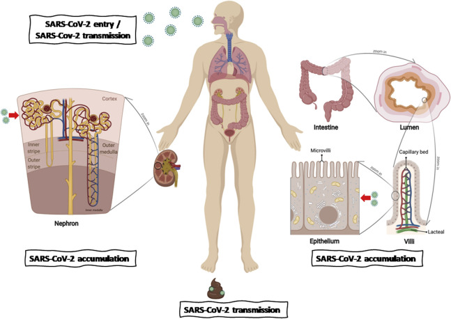 Supplementary Figure 4