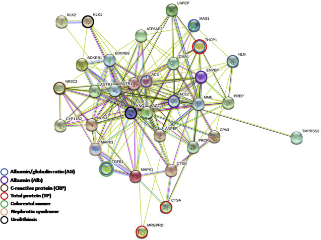 Supplementary Figure 3