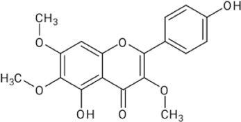 graphic file with name FPHAR_fphar-2023-1096905_wc_tfx8.jpg