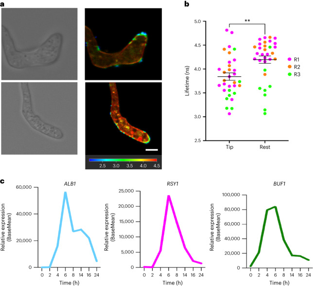 Fig. 4