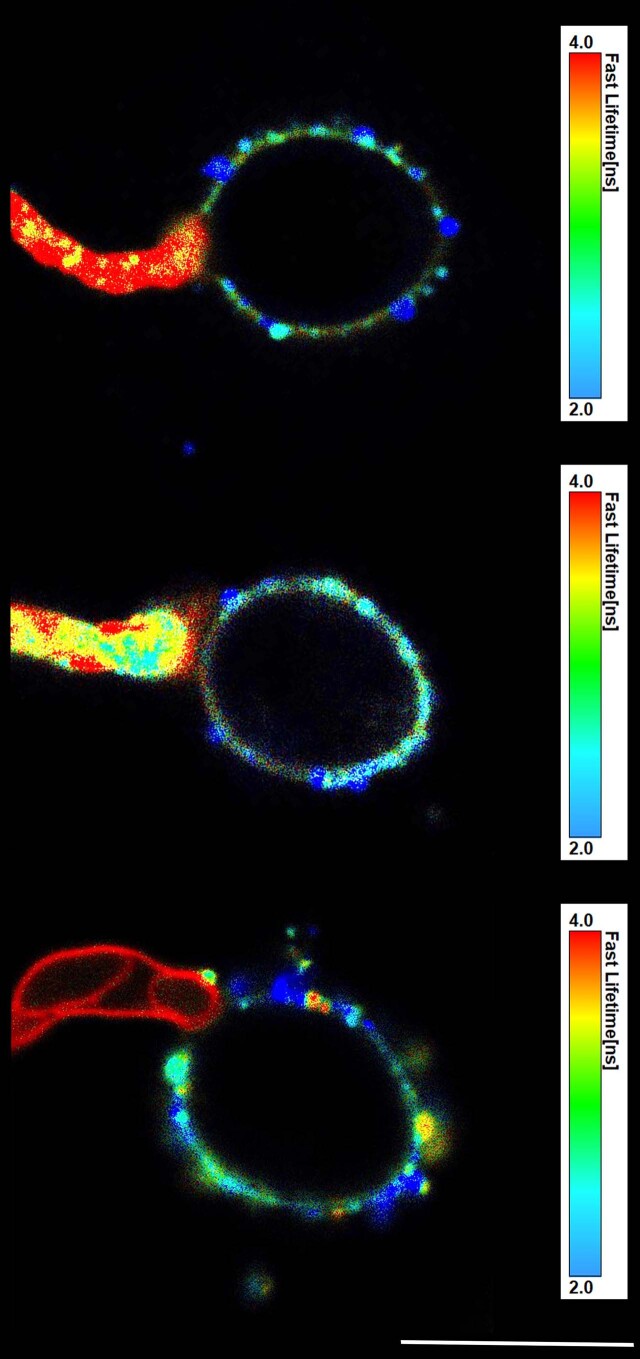 Extended Data Fig. 2