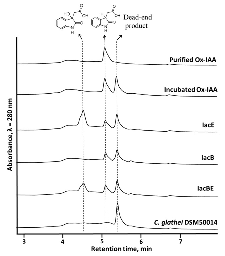 Figure 5