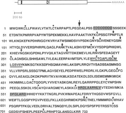 graphic file with name pnas01036-0365-a.jpg