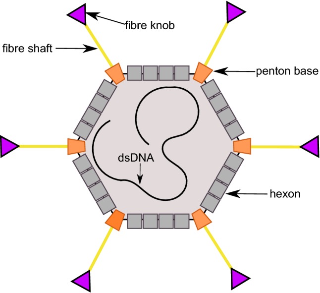 Fig. 1