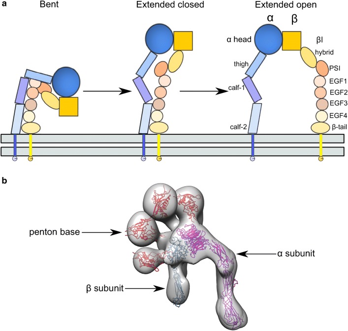 Fig. 3