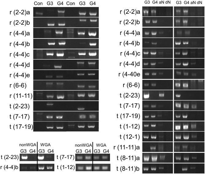 Figure 4.